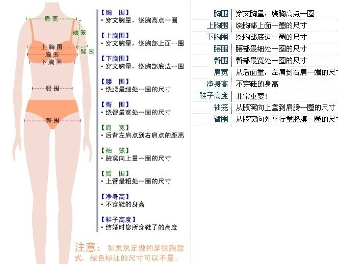 新娘挑选婚纱礼服时应该怎样测量尺寸大小?